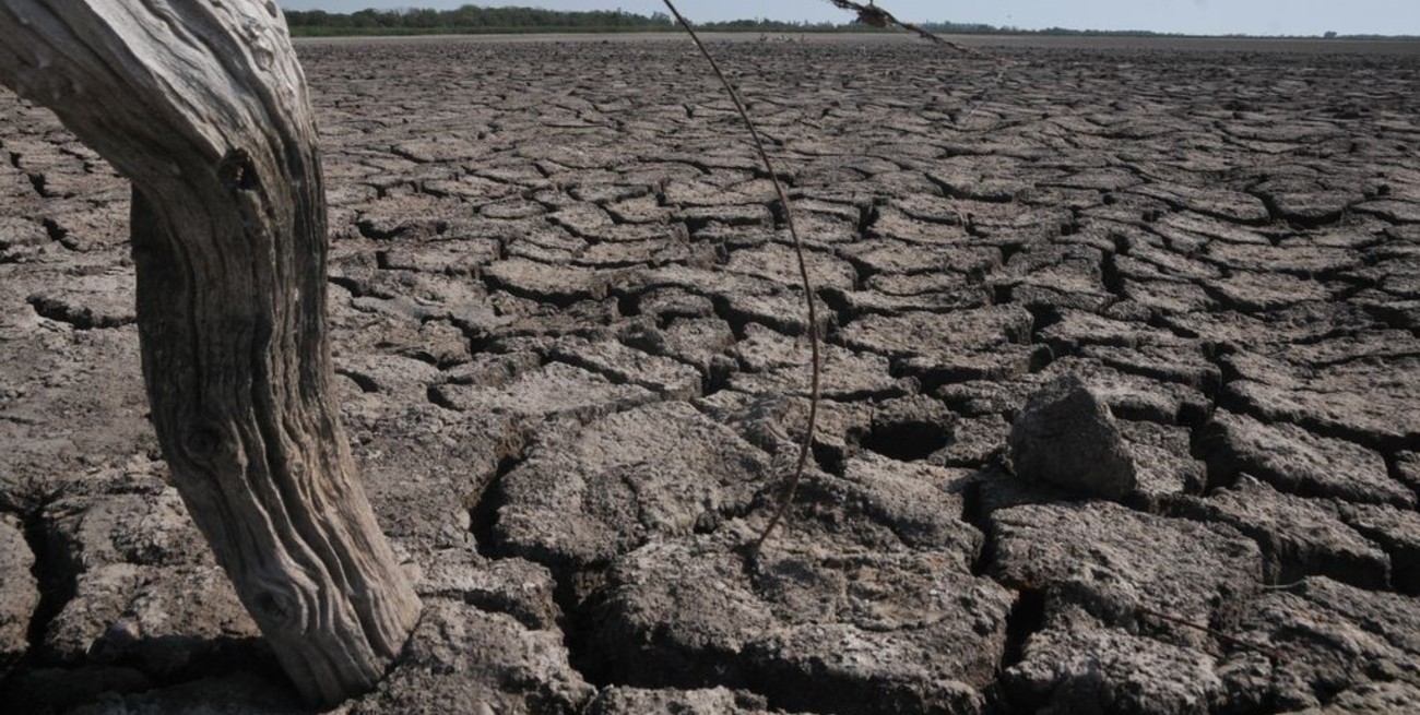 El escepticismo de los productores limita la asistencia por emergencia agropecuaria
