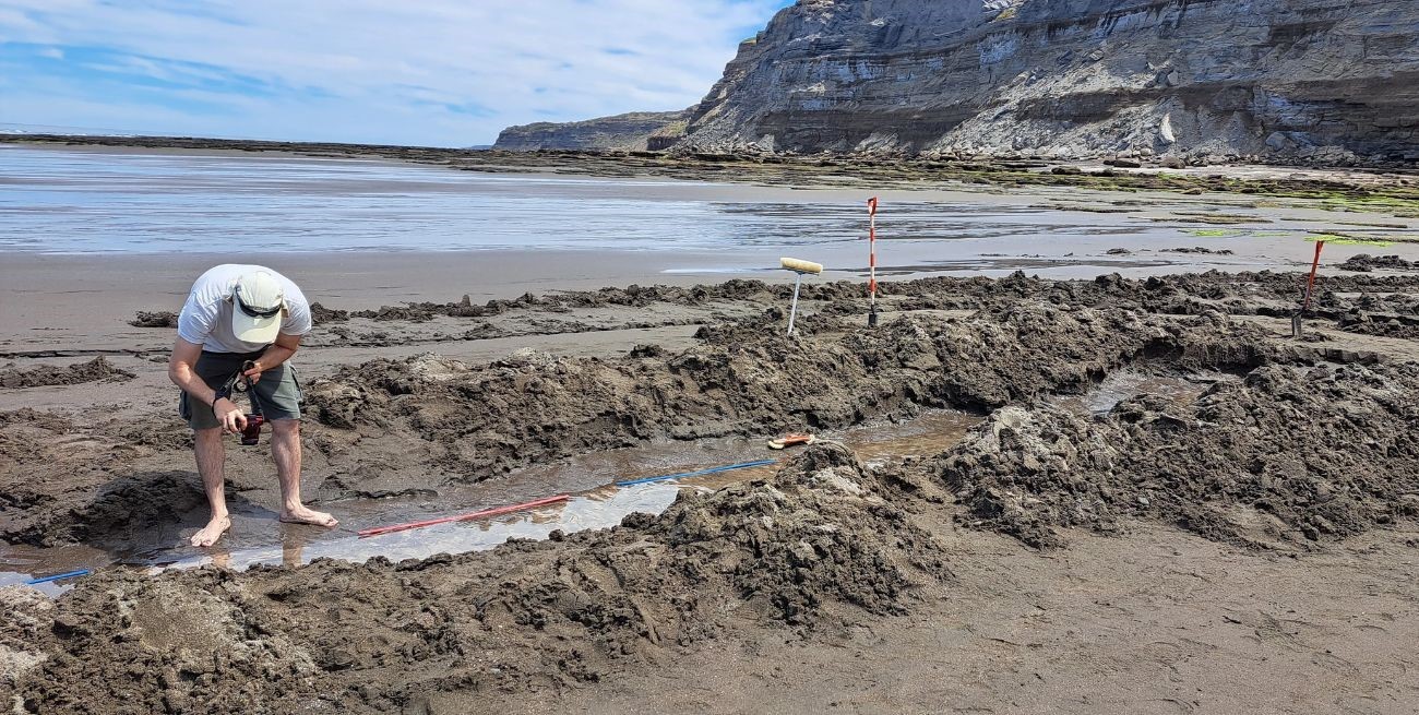 Descubrieron huellas de un ave prehistórica en las costas de Río Negro