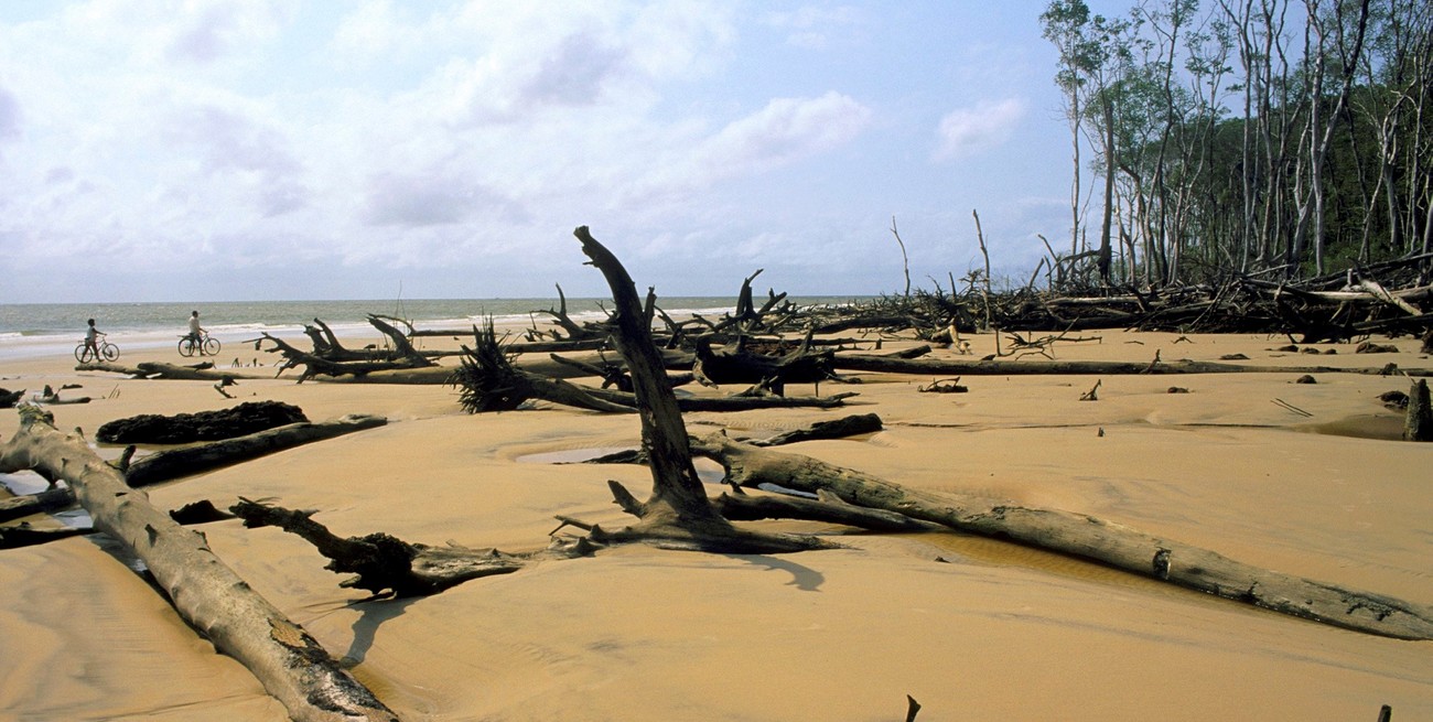 Fuerte exhortación del Papa Francisco por la "crisis climática" y contra el negacionismo