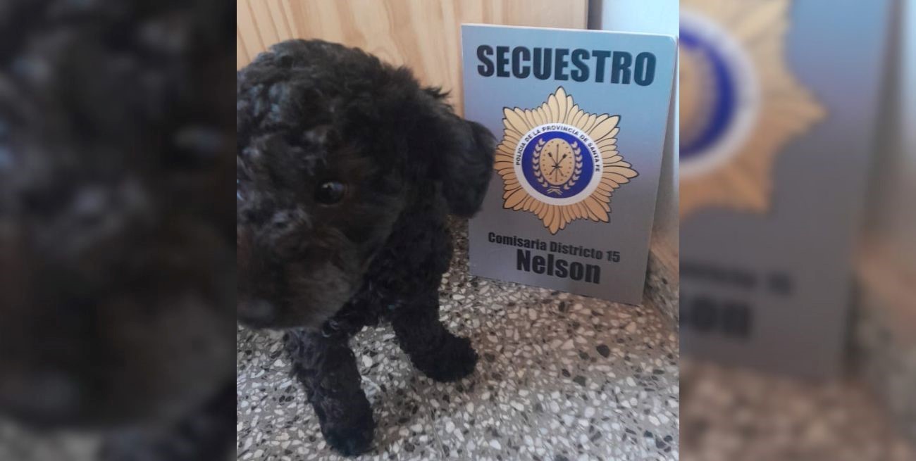 El secuestro de Teo y su rescate