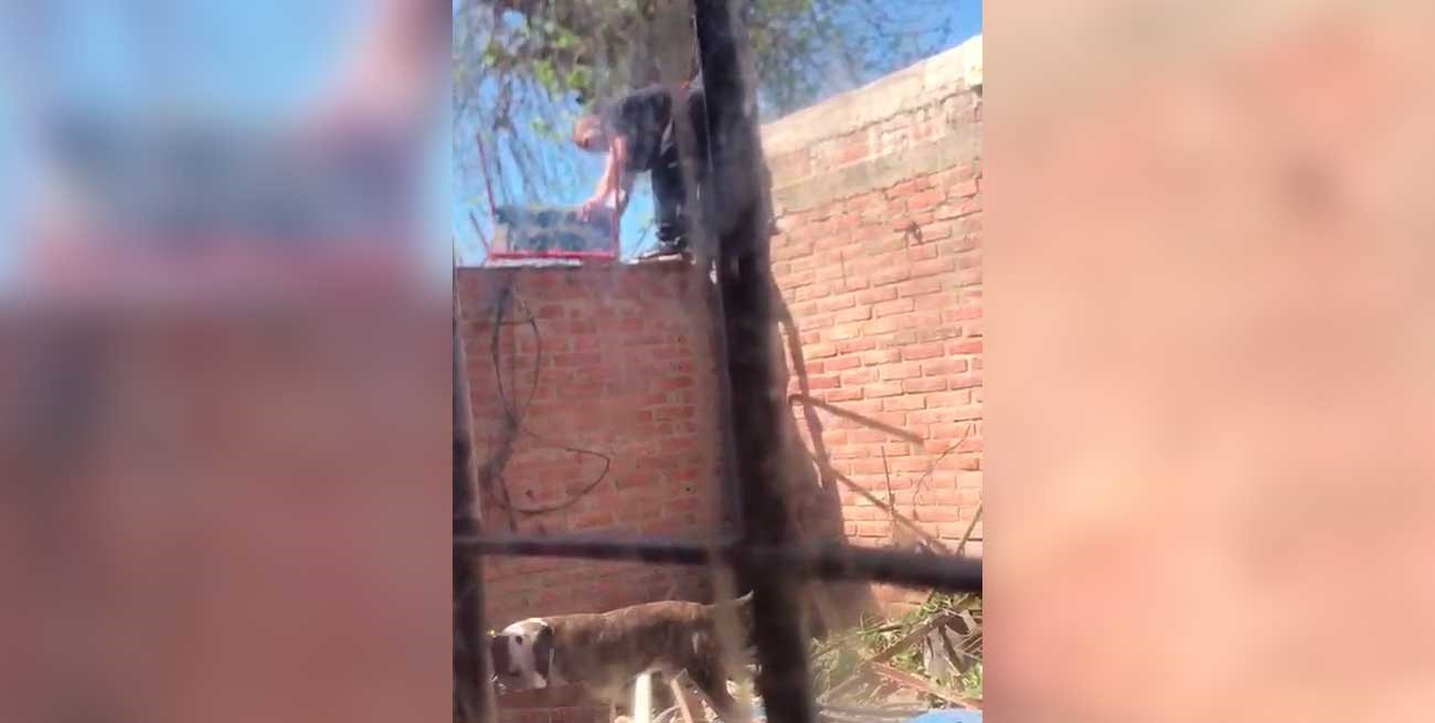 Video: saltó el tapial para robarle a su vecino y su propia familia lo grabó y entregó a la policía
