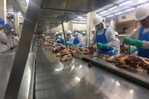 Argentina actualmente abastece cerca del 4% del mercado europeo.