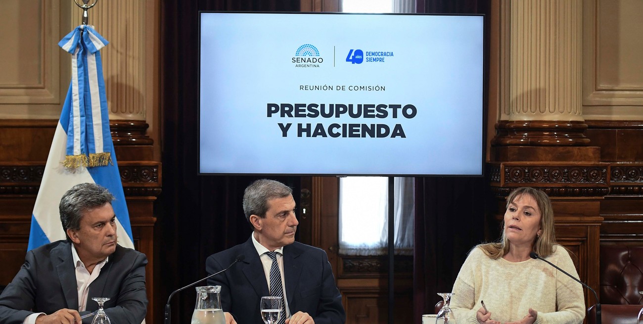 El programa "Compre sin Iva" obtuvo dictámen en el Senado