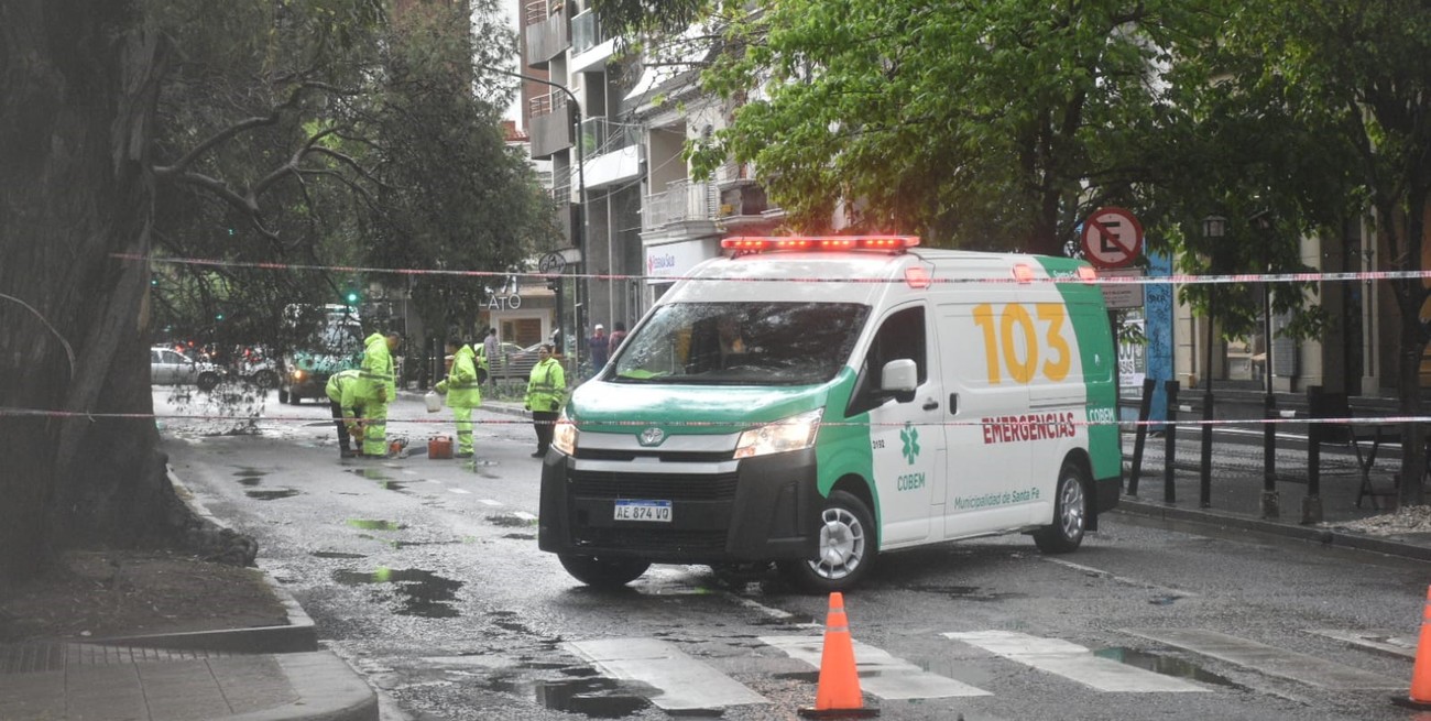 Tránsito interrumpido en Boulevard Gálvez y Sarmiento por la caída de un árbol