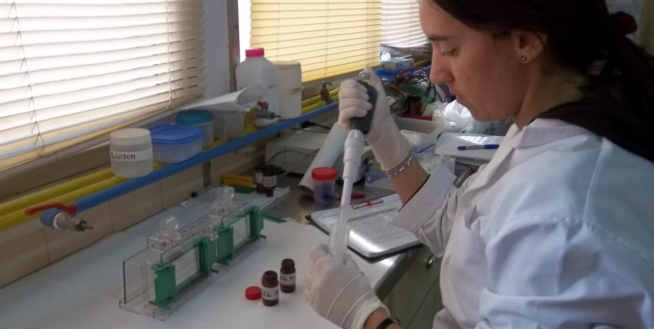 En 2023, en la provincia se concretaron millonarias inversiones en iniciativas científico tecnológicas 