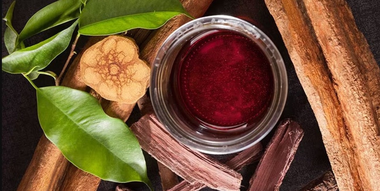 Preocupa una "creciente demanda" para las ceremonias de ayahuasca en Perú