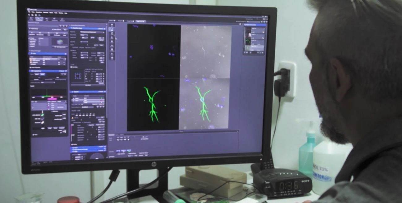 El rol de los investigadores: una mirada santafesina sobre los desafíos de la ciencia