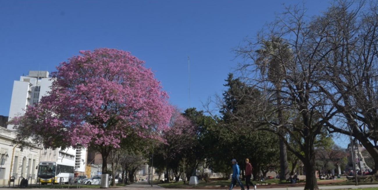 Línea directa y llegan cartas