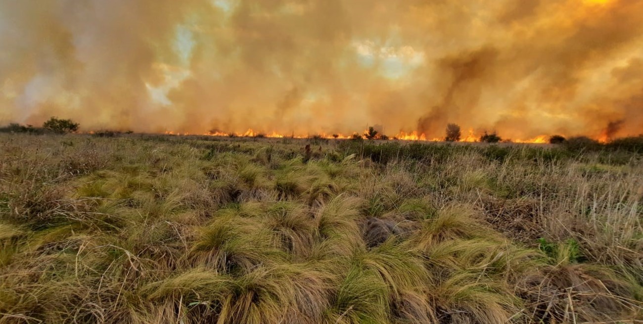 Córdoba activa medidas especiales por el clima extremo y la amenaza de incendios