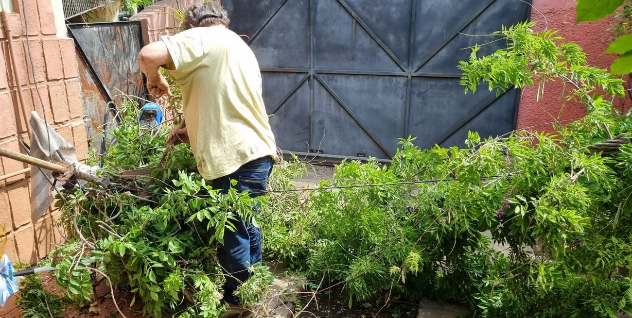 Fuerte temporal en Casilda: árboles caídos, cables y voladuras de carteles