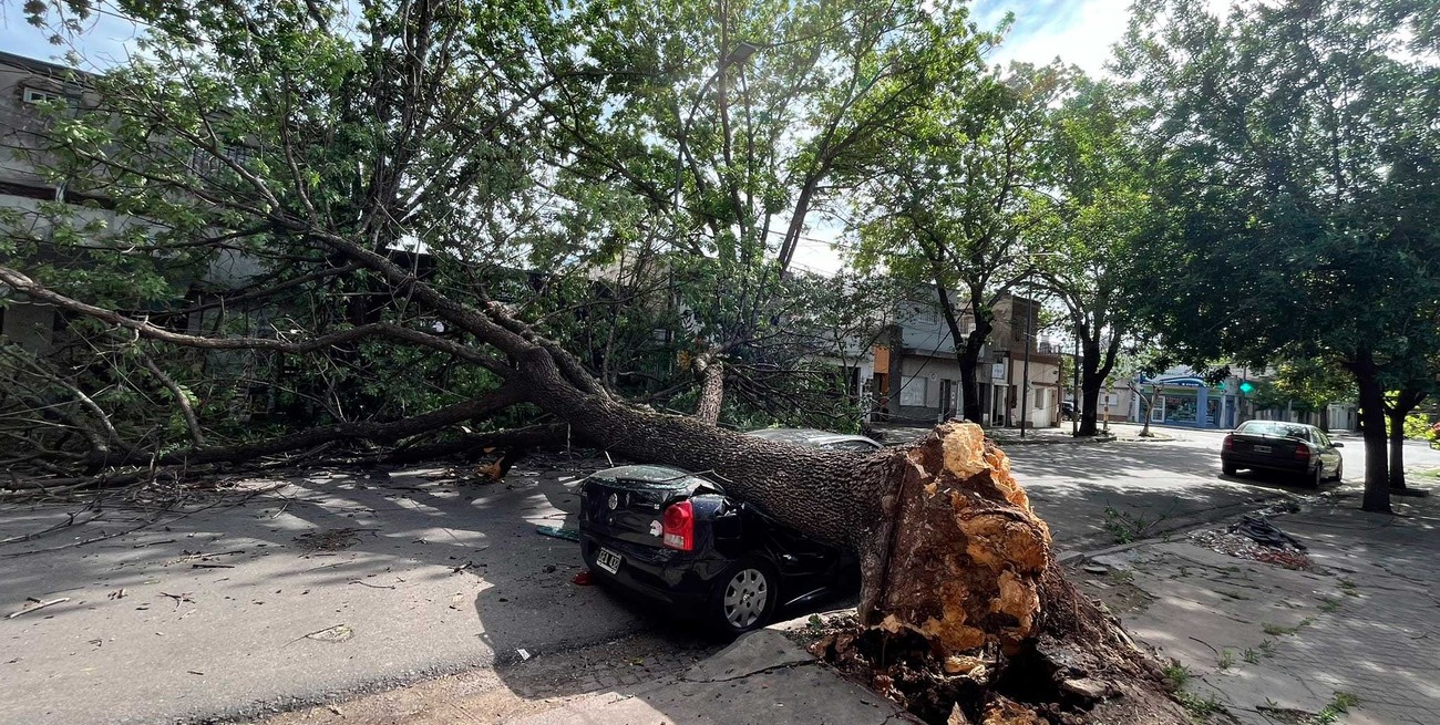 Un temporal provocó la caída de una veintena de árboles en Rosario