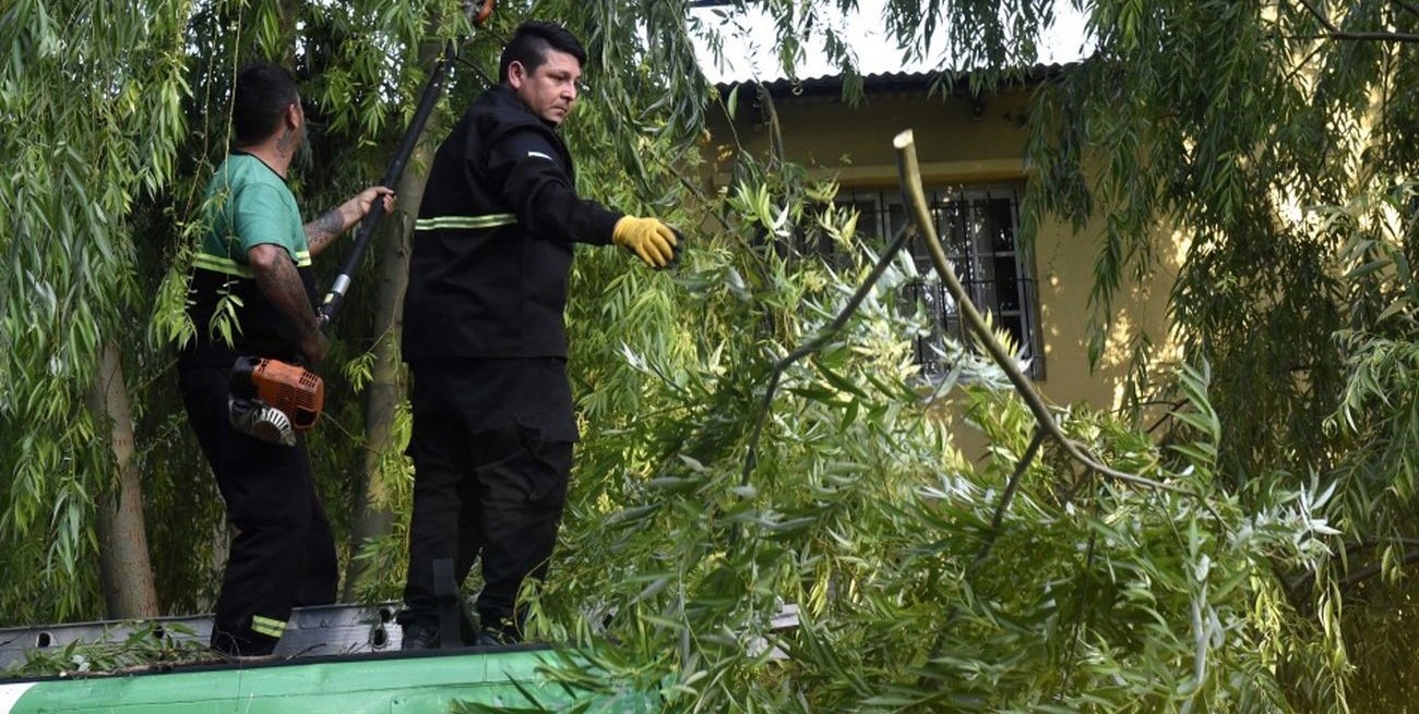 Realizan trabajos luego de la tormenta, mientras continúa el alerta por vientos fuertes en Rosario