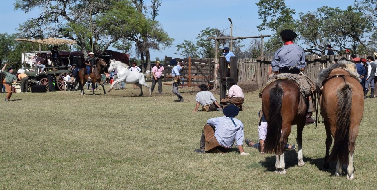 Destreza criolla y tradición en Matilde