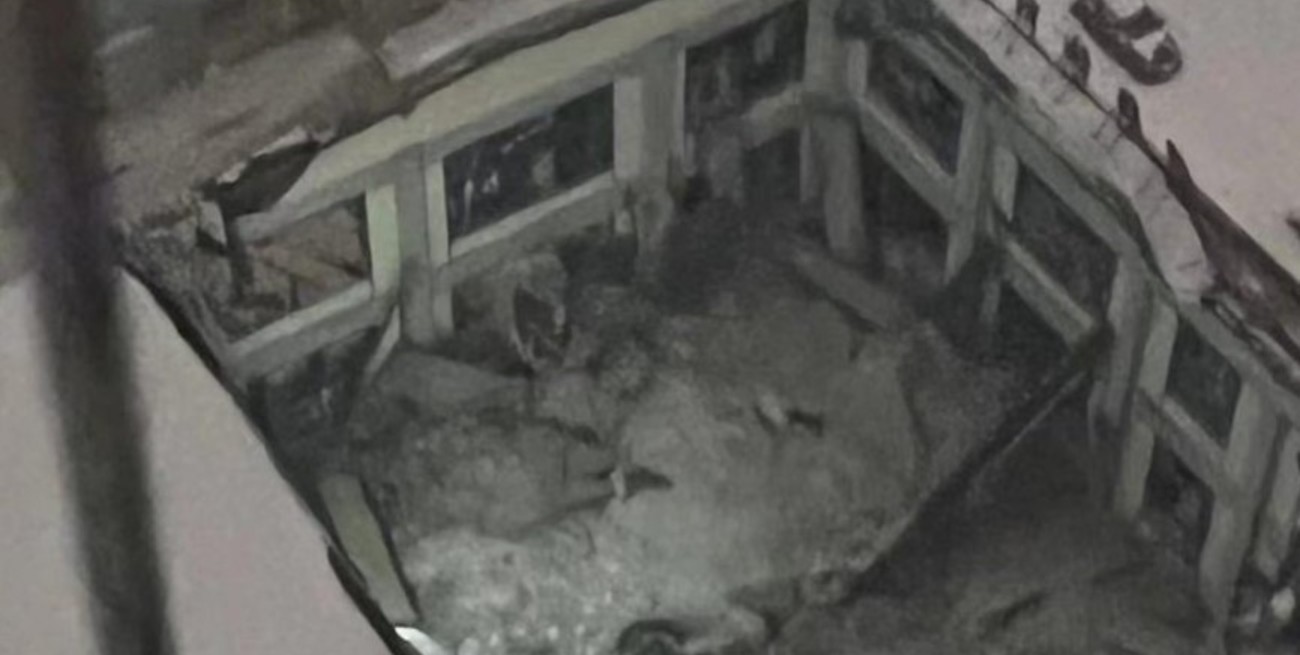 Video: por la nieve, colapsó un gimnasio en China y murieron tres personas