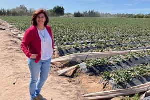 La empresa orienta sus productos al cuidado de la salud y el medio ambiente; pero sin dejar de lado la autenticidad y la excelente calidad.
Foto: Gentileza