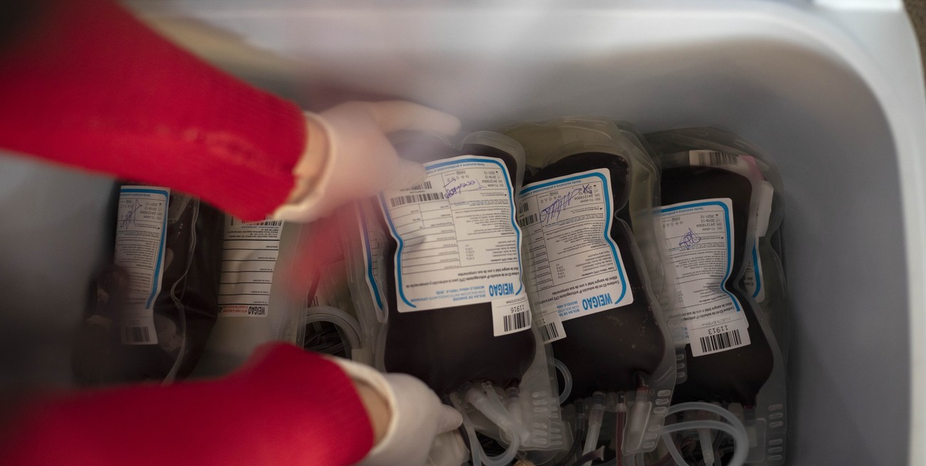 9 de noviembre, Día Nacional del Donante de Sangre