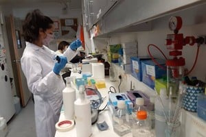 La foto es sólo ilustrativa. Muestra uno de los tantos laboratorios del Conicet local. La entidad está trabajando en la lucha contra la tuberculosis. Archivo El Litoral