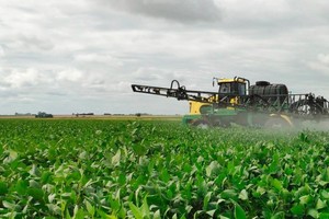 Fitosanitarios: la Bolsa de Cereales de Entre Ríos defendió ante el STJ la ley sobre distancias de aplicación