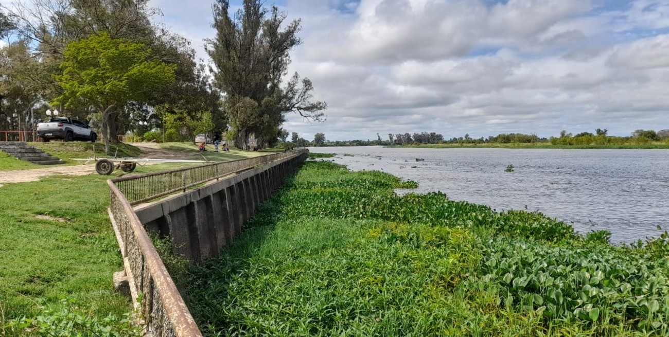 Río San Javier: crece lento pero sostenido
