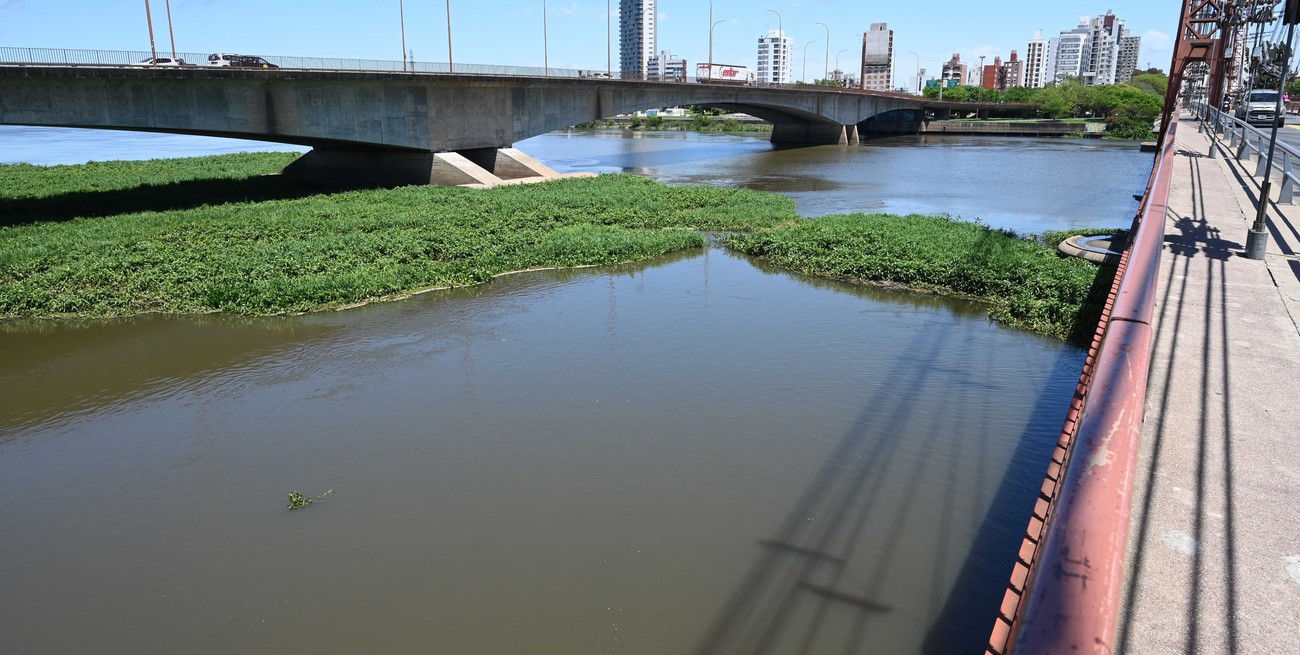 Crece el río y se llena de vegetación la laguna Setúbal, ¿se formará otro gran embalsado?