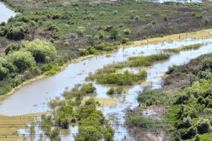 El mismo legislador advirtió en 2022 y 2023 por este problema en el río Salado.. Foto: Fernando Nicola