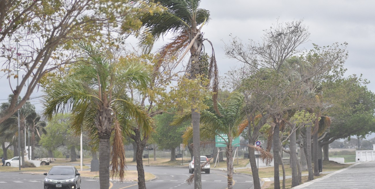 Alerta por viento para toda la provincia de Santa Fe