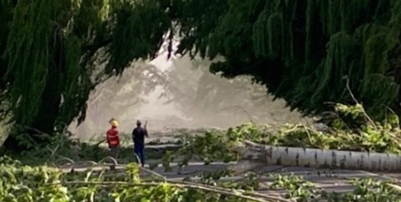 Alerta "Zonda": cortaron el tránsito en la Ruta 40 en el tramo de Mendoza