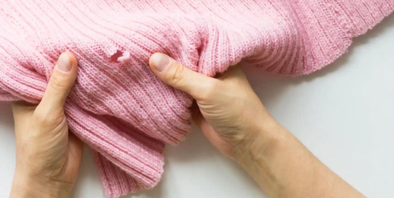 Chau naftalina: una alternativa natural para combatir las polillas