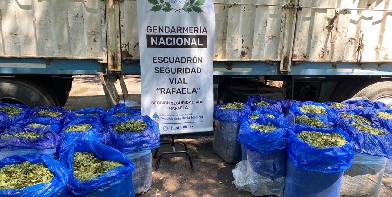 Rafaela: descubren 621 kilos de hojas de coca entre un cargamento de porotos 