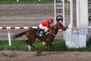Con claridad, Invierno Ruso cruza el disco en el Carlos Pellegrini. Créditos: Luis Cetraro