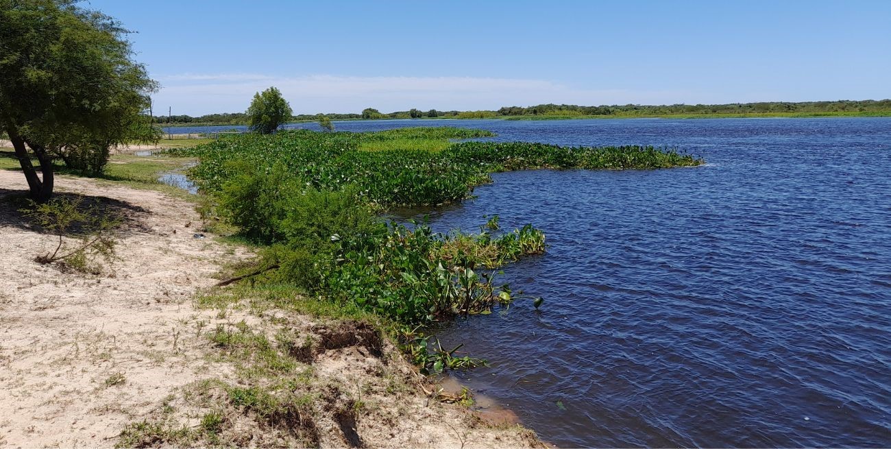 El río San Javier en alerta: medidas y precauciones ante la crecida