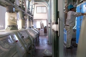 Argentina cuenta con una medición integral inédita de la capacidad productiva real de los molinos de trigo