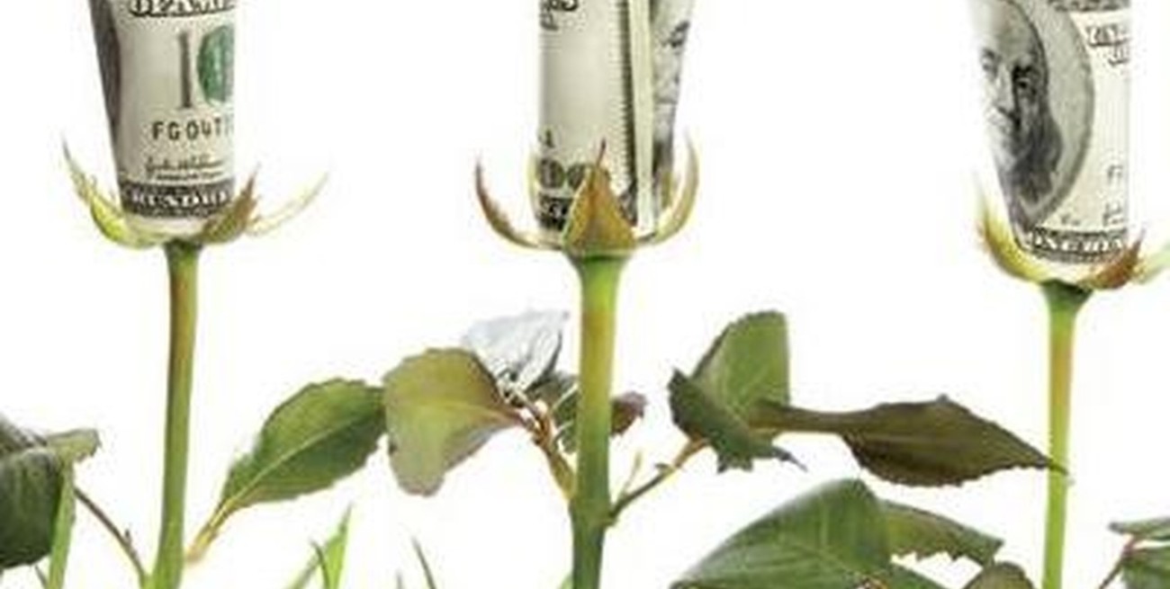 La foto y la película