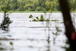 Aseguran que la participación se reclama en un contexto del fenómeno de “La Niña”. Crédito: Mauricio Garín