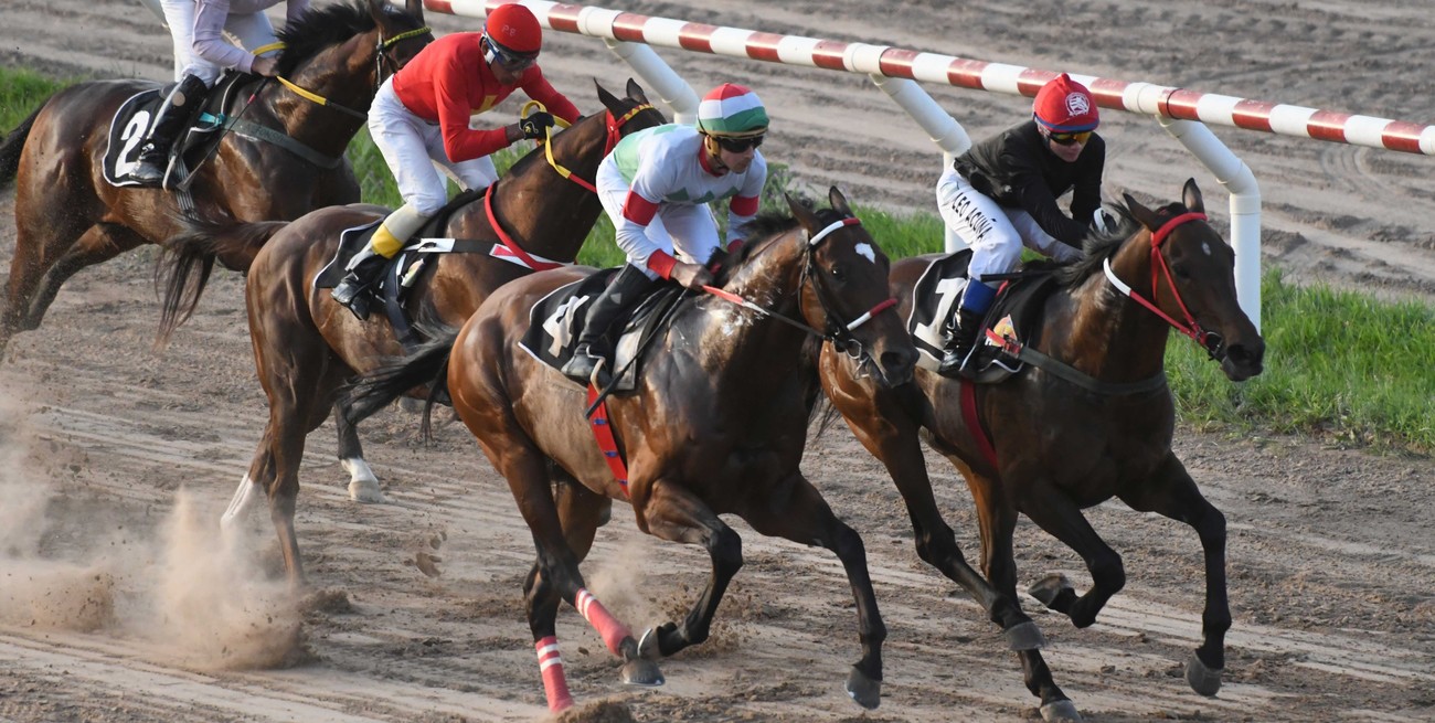 Suspenden el ingreso y egreso de caballos al Hipódromo Las Flores por los casos de encefalomielitis