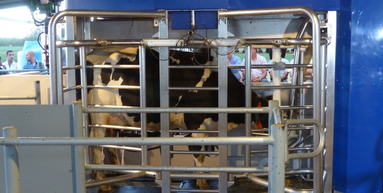 Tristeza en El Trébol: se cierra la fábrica que fue la primera de Latinoamérica en producir ordeñadoras