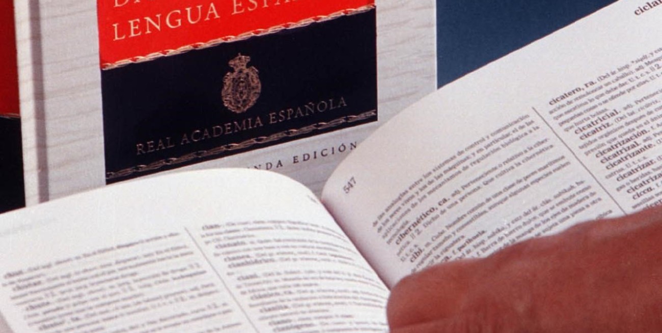 La Real Academia Española sumó más de 4 mil palabras a su diccionario: las más destacadas