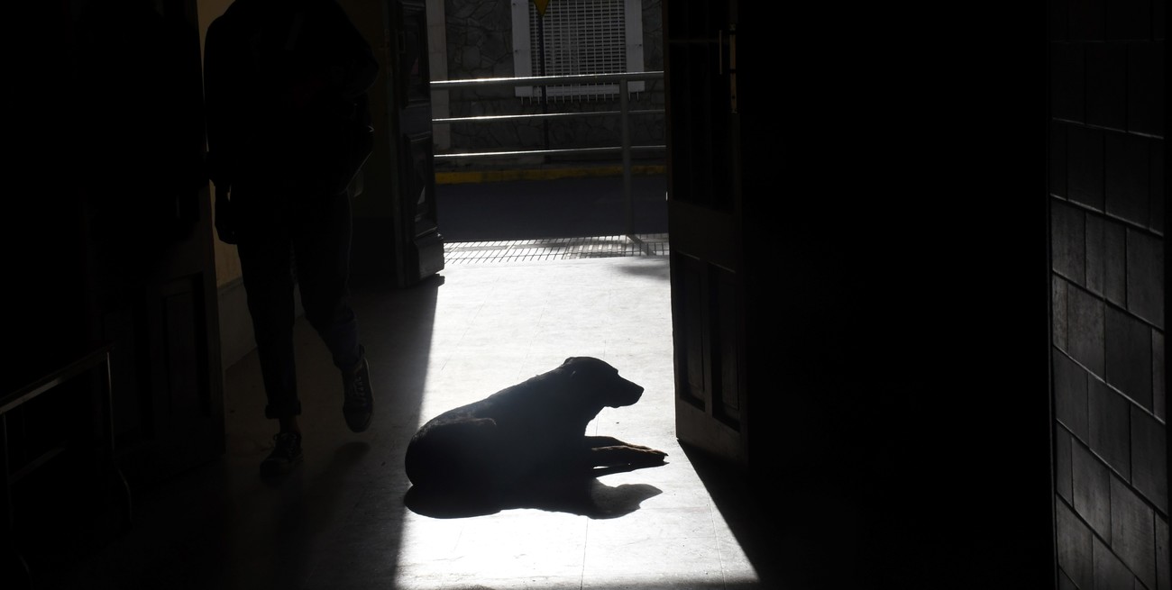 Línea directa y llegan cartas