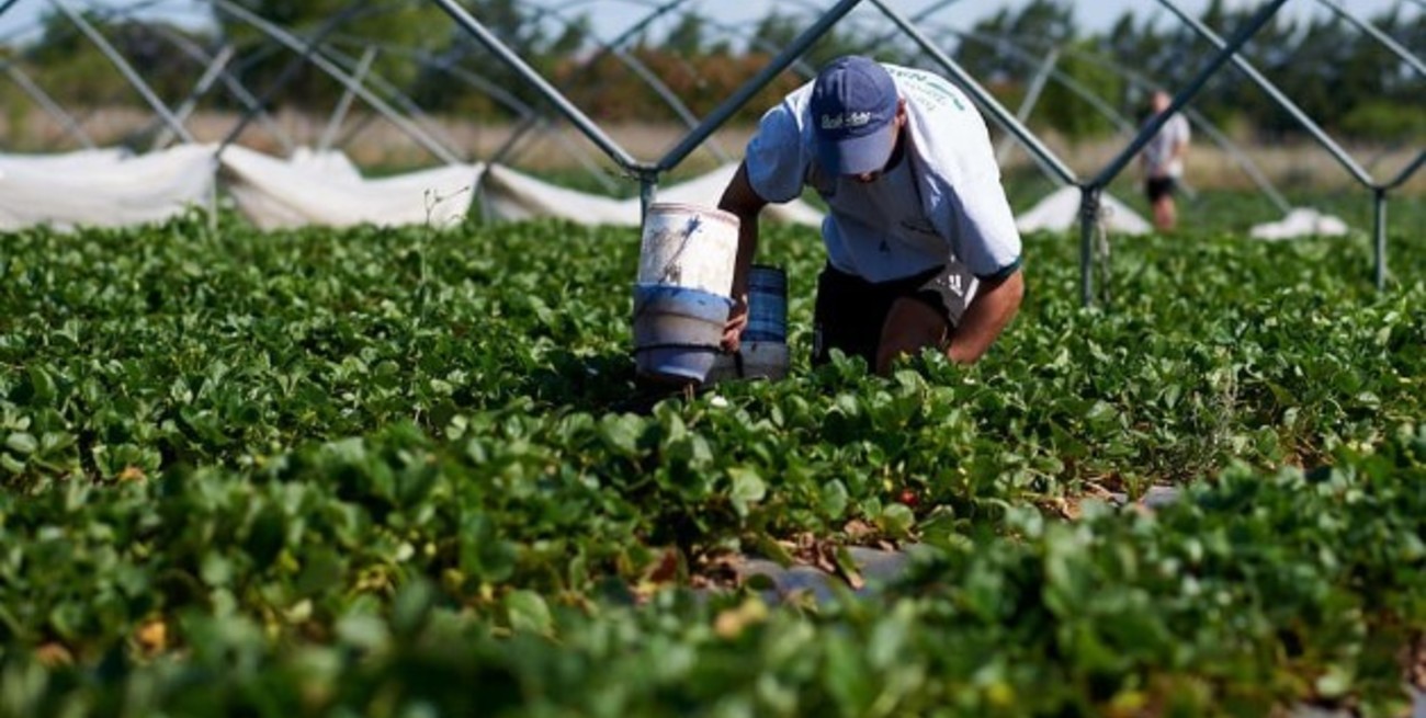 Ricardo Ramírez: "Queremos que a Coronda la sigan conociendo por las frutillas más que por las cárceles"