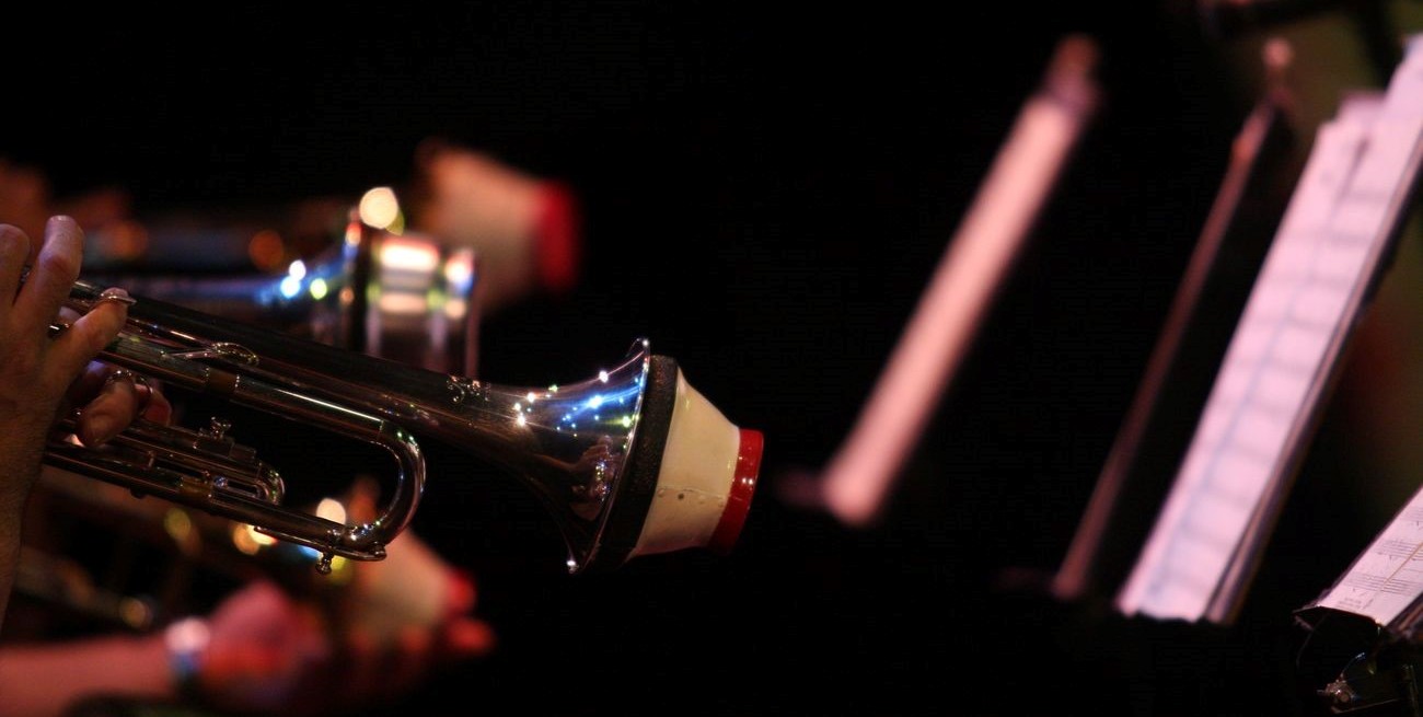 Se realizará el primer festival "Jazz en la laguna"