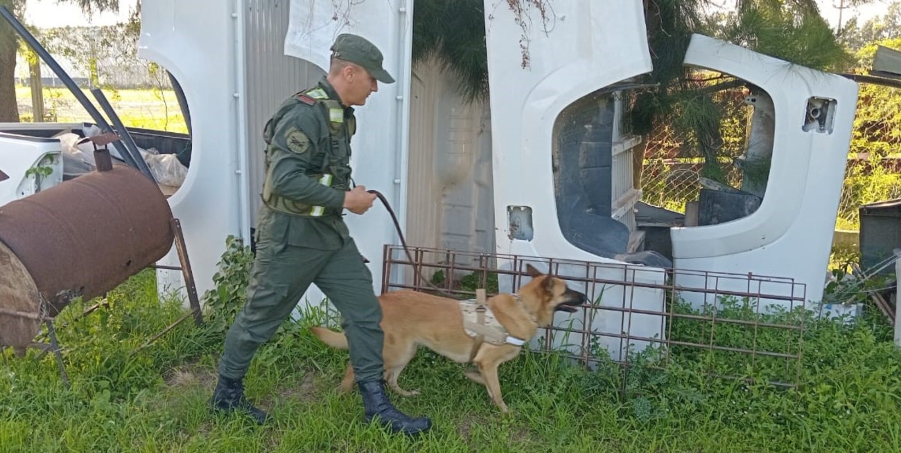 Millonario secuestro en dólares y pesos en dos allanamiento en Ceres