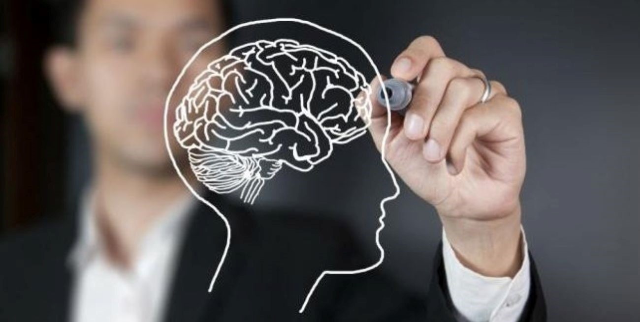 Neuroliderazgo: desbloqueando el potencial en el trabajo