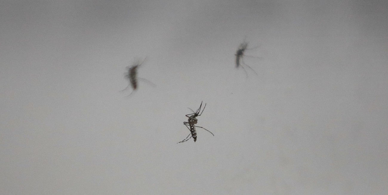 Un centenar de muertos y más de 64.000 casos por el brote de dengue en Guatemala