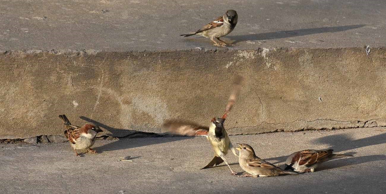 Línea directa y llegan cartas