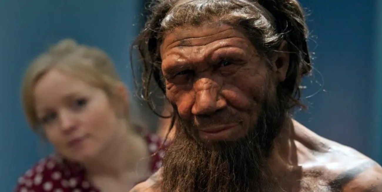 ¿Te gusta madrugar? Podría ser una ventaja evolutiva neandertal