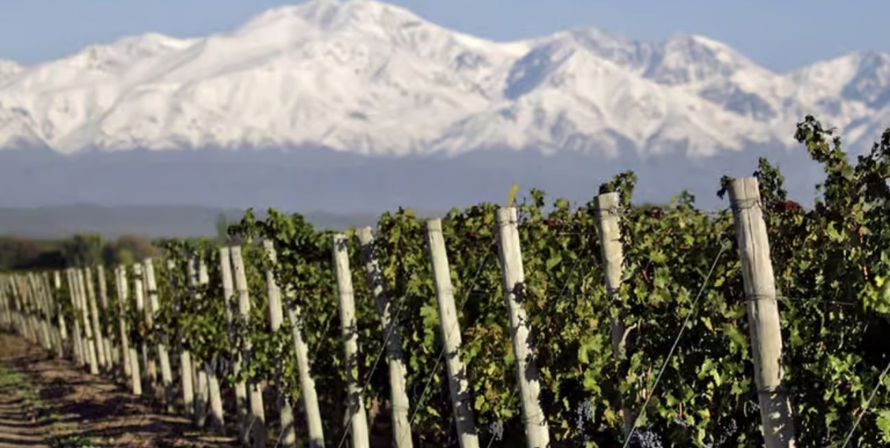 La Mesa de Enlace rechazó el proyecto de elevar las retenciones