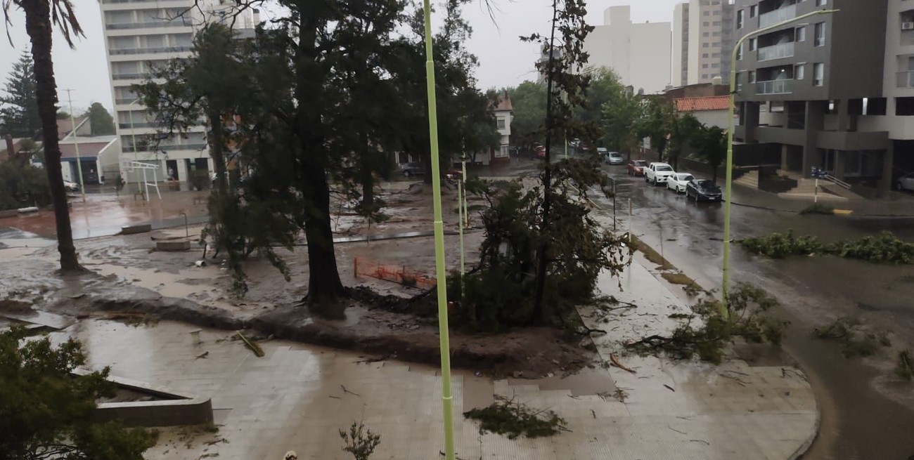 Mensaje del presidente Milei a familiares de los fallecidos en Bahía Blanca