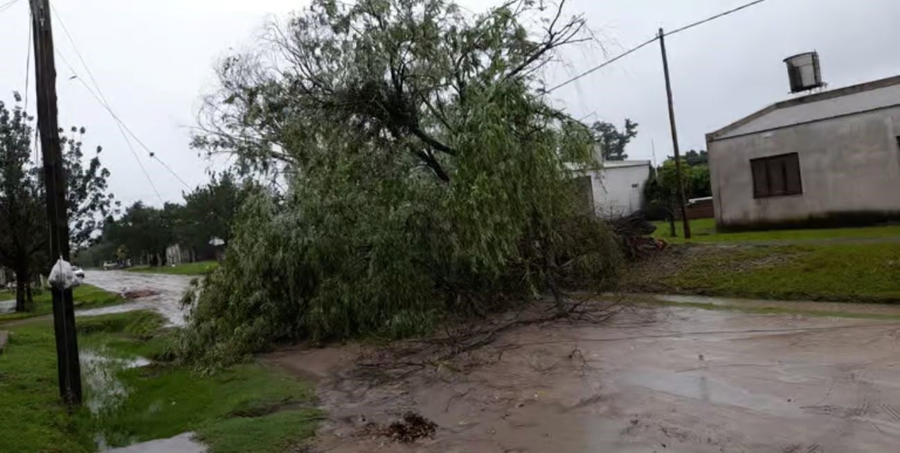 Volvió a llover en el norte santafesino con fuertes ráfagas de viento