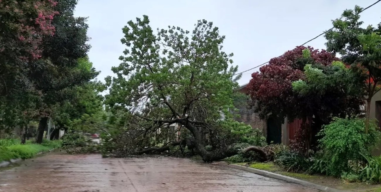 La intensa tormenta azotó nuevamente a San Javier y Alejandra