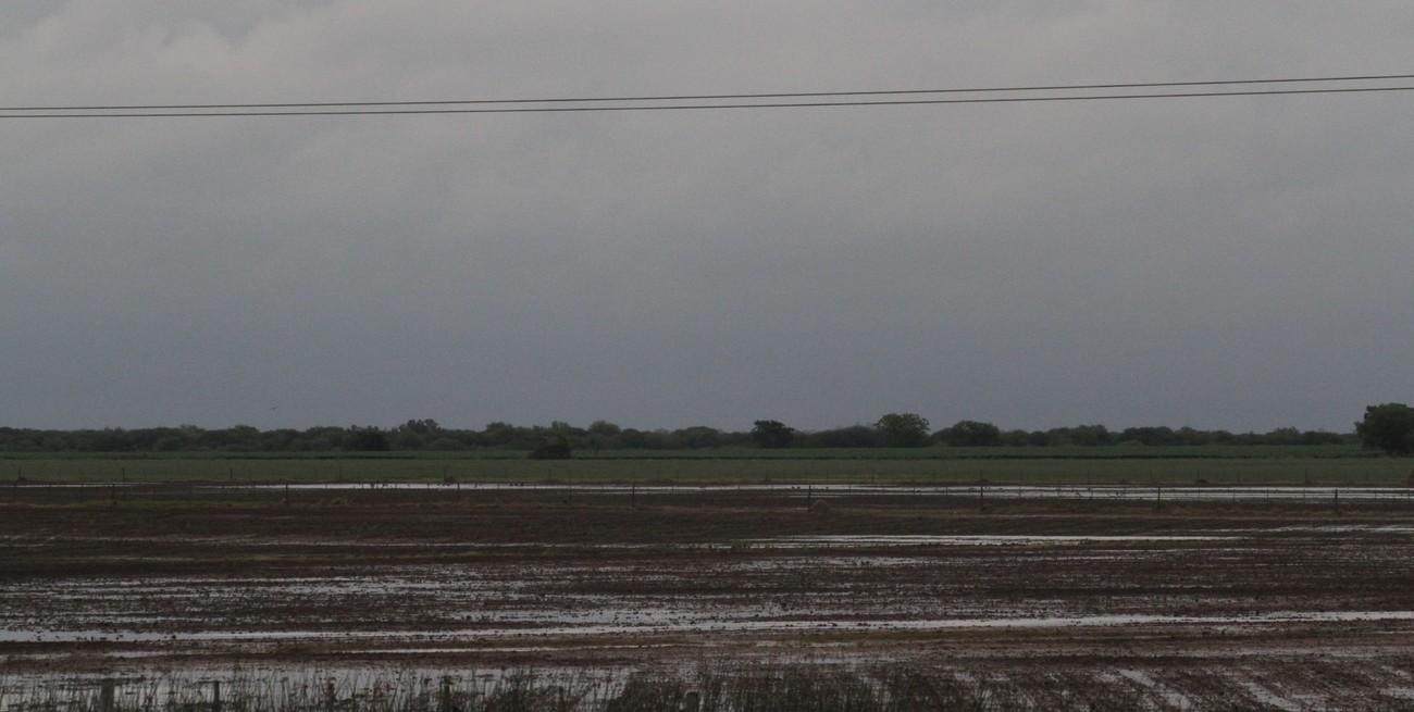 El Niño muestra los dientes en el centro oeste santafesino con lluvias que triplican el registro histórico 